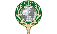 CIC