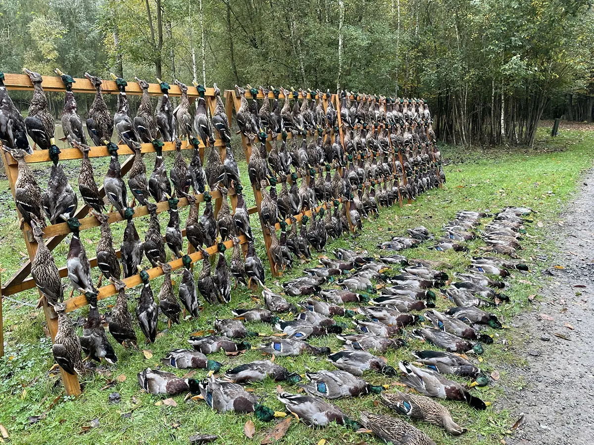 Hunt Trip France