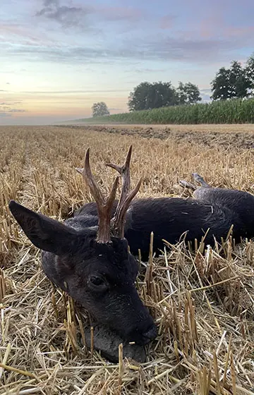 Hunt Trip France